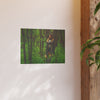 Art Prints • Fjordmist