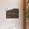 Art Prints • Deepwell