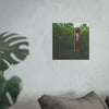 Art Prints • Fjordmist