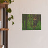 Art Prints • Fjordmist