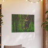 Art Prints • Fjordmist