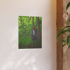 Art Prints • Fjordmist