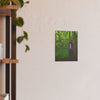 Art Prints • Fjordmist