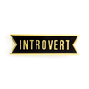 Pin • Introvert